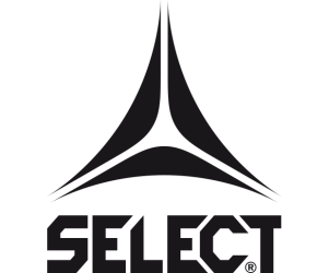 Tenson Logo POS copy